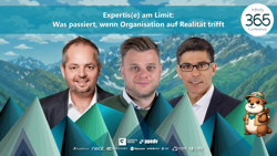 Expertis(e) am Limit: Was passiert, wenn Organisation auf Realität trifft